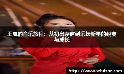 王岚的音乐旅程：从初出茅庐到乐坛新星的蜕变与成长