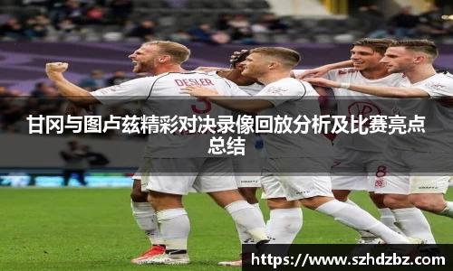 甘冈与图卢兹精彩对决录像回放分析及比赛亮点总结
