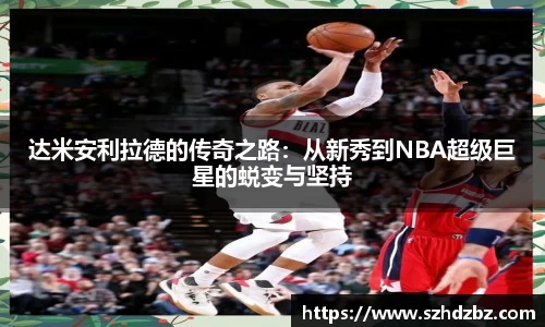 bsports官网入口