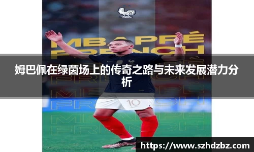 bsports官网入口